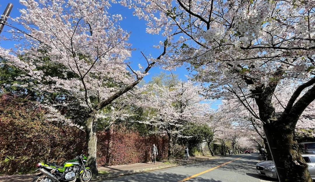 伊豆高原 温泉付別荘 Isana Mountain Villa Futo Exterior photo